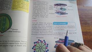 PlastidsChloroplast Cytoskeleton and Centrosomes Biology Grade 9 Unit 4 Cells and Tissues KP [upl. by Zitella]