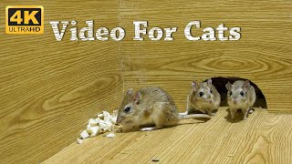 CAT TV  Mice Video For Cats To Watch amp Enjoy  Entertainment For Cats To Watch Mice  4K UHD [upl. by Sharline745]