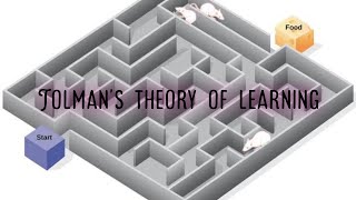 Tolmans learning theory mazerat theory sign learning latentlearning theory [upl. by Ahseya]