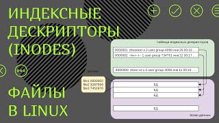 Хранение файлов в Linux Индексные дескрипторы inodes [upl. by Soilisav]