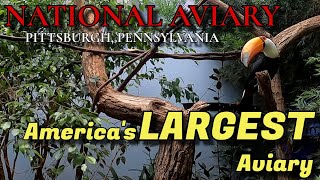 RARE amp ENDANGERED Birds 🦅 AMERICA’S LARGEST AVIARY Pittsburgh PA [upl. by Letnahs]