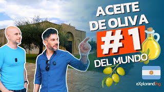 DESCUBRIENDO LAUR 🌿🍷  La fábrica de aceite de oliva 1 del mundo 🏆  Mendoza 🇦🇷 [upl. by Lael915]