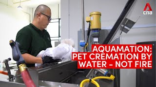 Aquamation When a pet is cremated by water – not fire [upl. by Yorel]