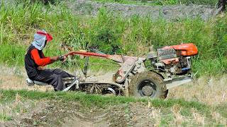 Tiller Tractor Walking Down To The Farm Filed Tilling Top Soil [upl. by Gruver]