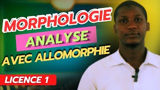 Analyse en Morphème  Avec Allomorphie [upl. by Grata837]