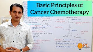 Anticancer Drugs Pharmacology Part 1 Basic Principles and Site of Action for Cancer Chemotherapy [upl. by Ahsirahc]