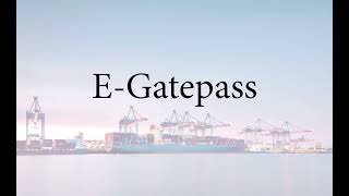 Cargoes E Gatepass Form 13 Form11 Form6 Sez4 [upl. by Cousin]