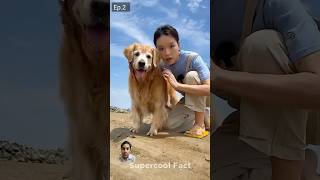 Alex Ne Machli pakad li🐠😍 dog funny pets story [upl. by Adamsen471]