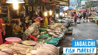 Fresh Fish Market in Busan South Korea [upl. by Ensoll]