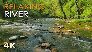 4K Relaxing River  Ultra HD Nature Video  Water Stream amp Birdsong Sounds  SleepStudyMeditate [upl. by Caputo]