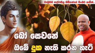 ඔබේ දුක මෙහෙම නැති කරන්න පුලුවන් thelordbuddhalanka  WELIMADA SADDASEELA HIMI [upl. by Yvehc]