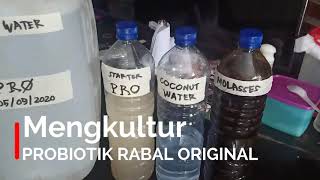 Cara Kultur Probiotik RABAL ORIGINAL PRO Dari 1 Liter Menjadi 20 Liter [upl. by Nonrev684]