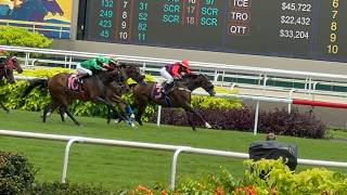 Last Day of Horse Racing at Singapore Turf Club [upl. by Corilla]