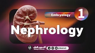 Renal Embryology Key Embryological Derivatives Explained  Medroll ft Dr TBSTB [upl. by Annayrb411]