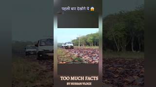 Islands that are ruled by animals 😱  hussanvlogz facts shorts [upl. by Poppo632]