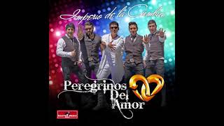 Los Peregrinos Del Amor  La Carretera 1 2 y 3 [upl. by Ymmit73]