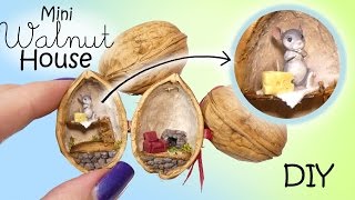 Miniature Dollhouse In A Walnut Tutorial  DIY Mouse House [upl. by Ellenaej]