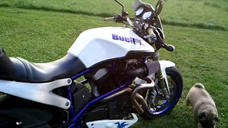 2001 Buell X1 Lightning for sale [upl. by Werra545]