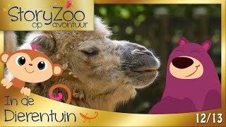 StoryZoo op Avontuur • Kameel [upl. by Reisman]