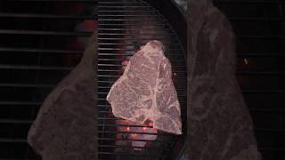 Grilling Porterhouse Steak [upl. by Ahsiyk]