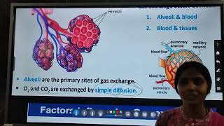 Biology  Exchange of Gas Transport of gases and disorders of respiratory system [upl. by Hilary]