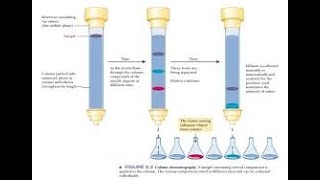 COLUMN CHROMATOGRAPHY [upl. by Ahtamas]