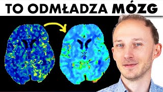 Jak odmłodzić mózg 🧠 23 produkty na pamięć i koncentrację Dieta dla mózgu  Dr Bartek Kulczyński [upl. by Cohe]