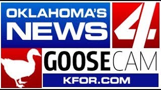 KFOR Oklahomas News 4 Live Stream [upl. by Kisor544]