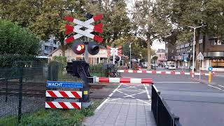 Spoorwegovergang Bussum  Dutch Railroad Crossing [upl. by Wayne]