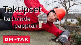 Taktipset  Läckande papptak [upl. by Hershell812]