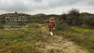 APPLE  IPHONE 16 PRO  CINEMATIC 4K [upl. by Lynd]