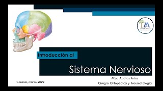 Introducción al Sistema Nervioso Mar 23 [upl. by Latona]