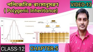 Polygenic Inheritance Multigenic inheritanceQuantitative inheritance in Bengaliclass 12 Biology [upl. by Nalda]