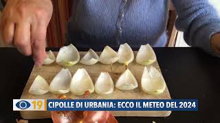 Cipolle di Urbania ecco il meteo del 2024 [upl. by Rhine]