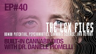 Anandamide PEA amp Your Body’s BuiltIn Cannabinoids with Dr Daniele Piomelli  The Lex Files [upl. by Lyrahs690]