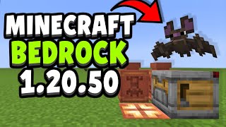 EVERYTHING NEW in Minecraft Bedrock Edition 12050 Update [upl. by Sajovich267]