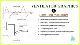 Ventilator Waveforms  Flow time waveform interpretation  Scalers [upl. by Alya]