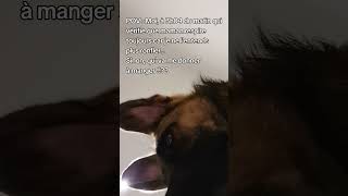 Respire  foryou fypage tiana funny humor viralvideo fypage videoshort viralshort fyp [upl. by Ott]