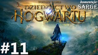 Zagrajmy w Hogwarts Legacy PL odc 11  Księgi i zwoje  Dziedzictwo Hogwartu PL [upl. by Adnoel]