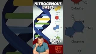 Nitrogenous Bases  DNA amp RNA Molecular Basis of Inheritance NEET BIOLOGY neet science biology [upl. by Obara803]