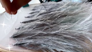 Ostrich Feather Embroidery Tutorial [upl. by Aelber]