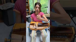 HurdyGurdy Basics What are sympathetic strings on the hurdygurdy hurdygurdy [upl. by Johanan]