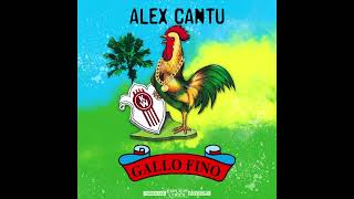 Alex Cantu  Gallo fino [upl. by Eanert]