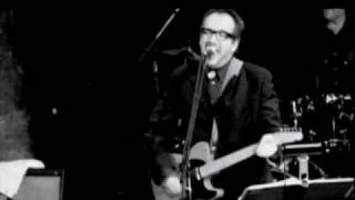 Elvis Costello Live  Welcome to the Working Week [upl. by Flodnar]