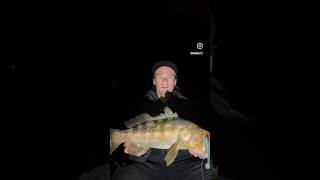 Chompin at night warbaits fishingadventures [upl. by Alyda]