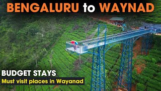 BUDGET STAY option in WAYANAD TOP PLACE to VISIT in WAYANAD  Wayanad Tourism Wayanad Kannada vlog [upl. by Bobine1]