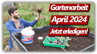 Gartenarbeit April  Erdbeeren amp Kohlrabi Lavendelschnitt Gemüsegarten mit Hochbeeten [upl. by Roid886]