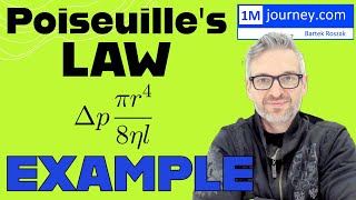 Poiseuilles Law Example [upl. by Rma]