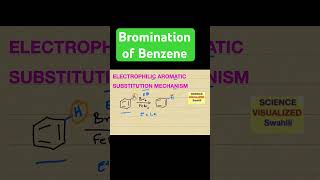 Bromination of Benzene [upl. by Soinotna]