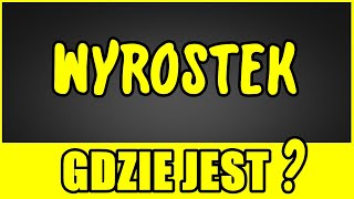 GDZIE JEST WYROSTEK [upl. by Domonic21]